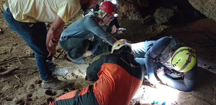 Ação coordenada pelo PAT Xingu prevê a preservação de animais que vivem em cavernas 