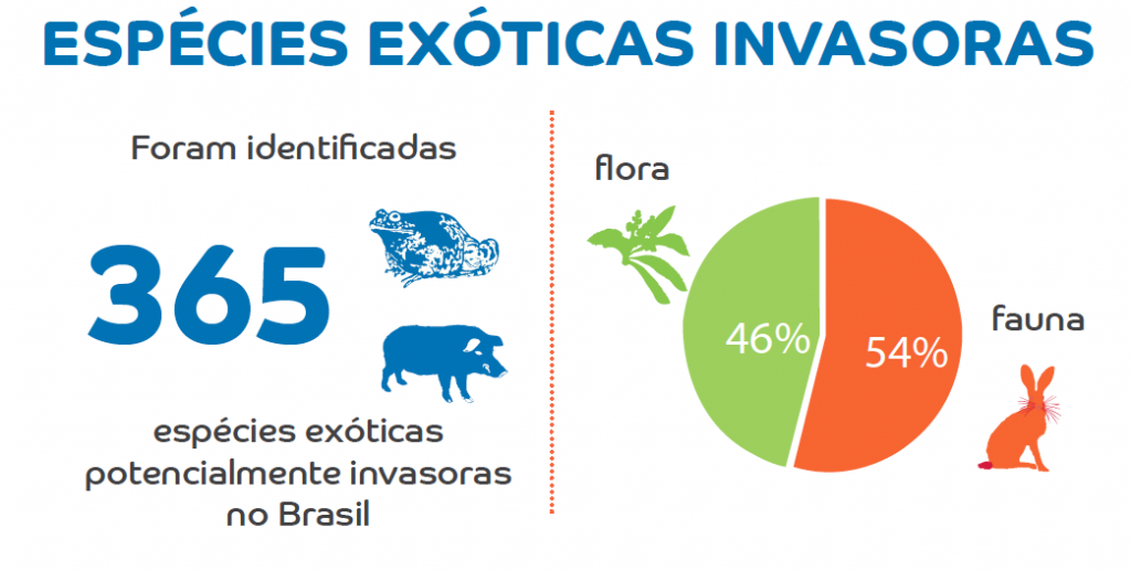 Espécies exóticas invasoras