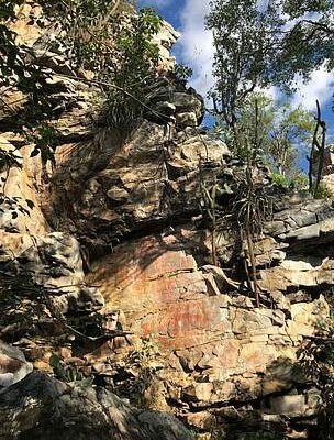 Pró-Espécies seleciona consultoria para assessoramento em plano de ação territorial Caatinga-Mucugê – Encerrada