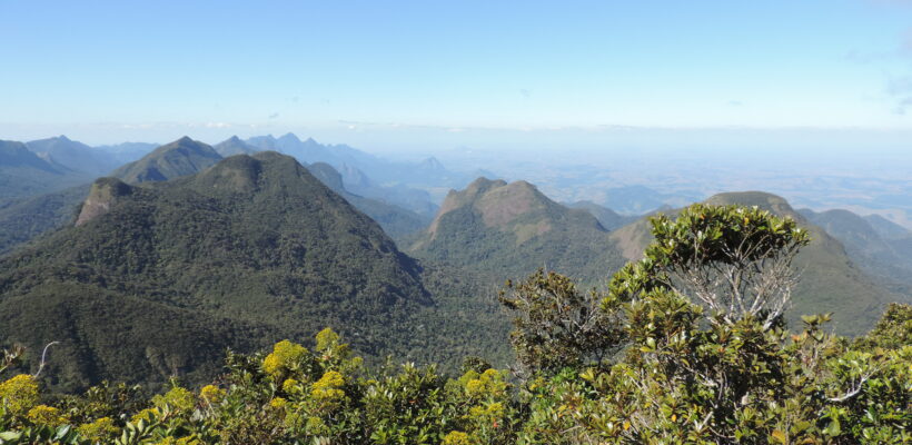 Reavaliações de risco de extinção da flora: atualização da lista de espécies no Projeto Pró-Espécies