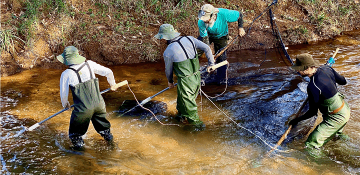 Expedições avaliam o estado de conservação de espécies aquáticas da Mata Atlântica