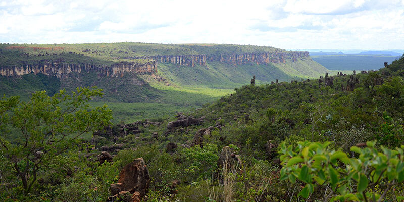Tocantins divulga Plano de Ação para espécies ameaçadas de extinção