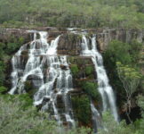 Pró-Espécies seleciona consultoria para assessoramento ao JBRJ para a elaboração do PAN Bacia do Alto Tocantins – Encerrada