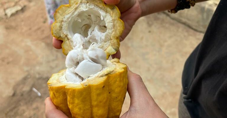 Oficina culinária busca garantir segurança alimentar e renda na Chapada Diamantina