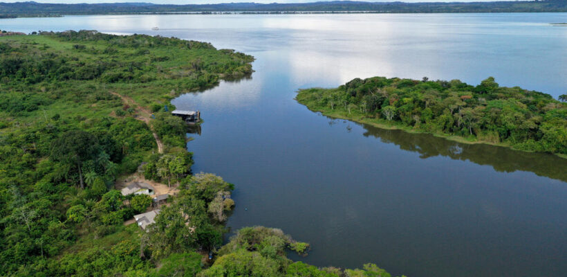 Pró-Espécies seleciona consultoria para elaboração de material gráfico do PAT Meio Norte e PAT Xingu – Encerrada