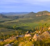 Pró-Espécies seleciona empresa para identificação de áreas prioritárias para restauração no PAN da Bacia do Alto Tocantins – Encerrada