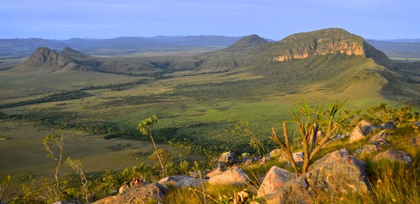 Plano de ação prevê a conservação da flora ameaçada da Bacia do Alto Tocantins