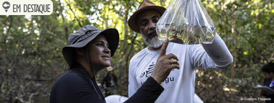 Expedição do Naturatins e parceiros localiza ave em risco de