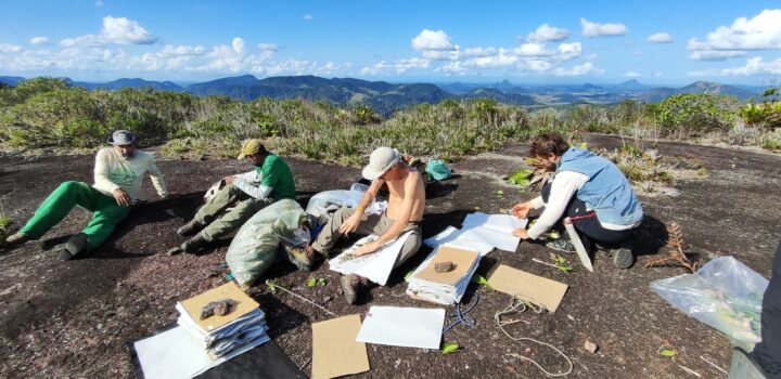 Expedição científica ao extremo sul da Bahia gera conhecimento para a conservação da biodiversidade brasileira