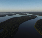 Pró-Espécies seleciona consultoria para produção de conteúdo didático e midiático relacionados a conservação do PAN Peixes Amazônicos – Encerrada