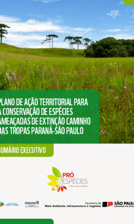 Sumário Executivo do PAT Caminho das Tropas Paraná-São Paulo