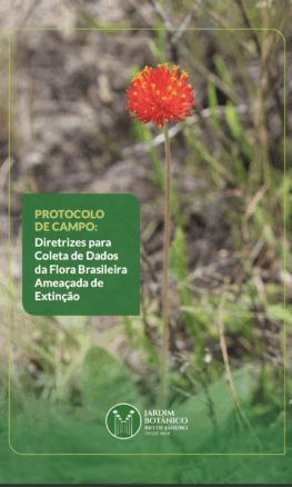 Protocolo de campo fortalece a coleta de dados para a conservação da flora brasileira