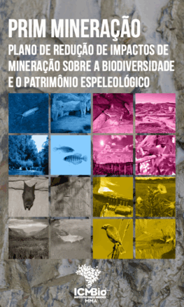 Plano de Redução de Impactos de Mineração
